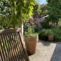 Ambiente 😍🌿  at Höpker Café Confiserie in Friedrichshafen