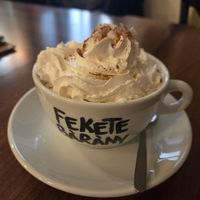 Pumpkin spice latte with almond milk and vegan  whipped cream at Vasmacska KávéZoo in Budapest