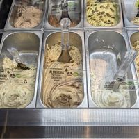 Vegano 🌱 clearly labeled at Patti Gelateria cartagena in Cartagena