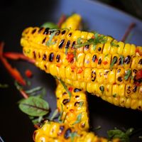   at FRIENDS Bar in Dalung