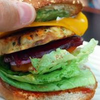 Tasty burger at Grill'd - Cairns Central in Cairns