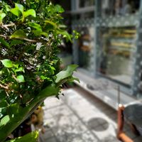 Small seating area at O Plant-based - Nguyễn Đình Chiểu in Ho Chi Minh City