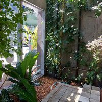  at O Plant-based - Nguyễn Đình Chiểu in Ho Chi Minh City