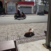 View from outdoor seating 🐻 at O Plant-based - Nguyễn Đình Chiểu in Ho Chi Minh City