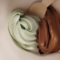 Flavours: Pistachio and chocolate at Funky Frozen Yogurt - Torvbyen in Fredrikstad