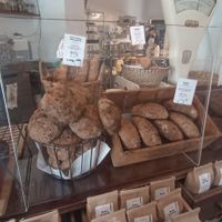 Inside at Oshione in Berlin