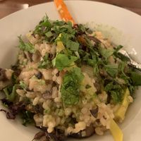 Vegan risotto  at 501 on Main in Park City