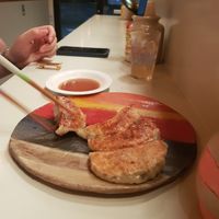 Fried Gyoza at WILL YOU CURRY ME? in Fukuoka