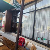 Outside dining area at Forgotten Tonic in St Augustine
