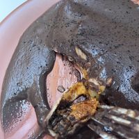 Enfrijoladas  at Higuera in Monterrey