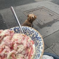   at EisLiebe in der Kettengasse in Cologne