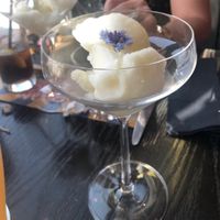 Specially made lemon sorbet   at Stills in Abu Dhabi