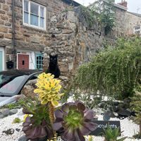 Kaluha the cafe cat will guard you, accept some pats, but she’ll judge you too as any cat of worth would! at Orange Cafe Bar in Mousehole
