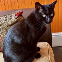 Kahlua   at Orange Cafe Bar in Mousehole