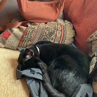 Sweet baby girl   at Orange Cafe Bar in Mousehole