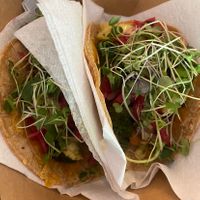 Veggie tacos “veganized"  at Taino Roots Artisan Kitchen in Gainesville