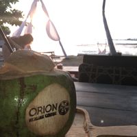 Branded Coconut   at Orion Cafe in Koh Phangan