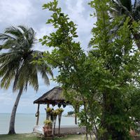   at Orion Cafe in Koh Phangan