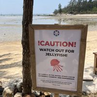   at Orion Cafe in Koh Phangan