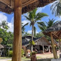 Vibes   at Orion Cafe in Koh Phangan