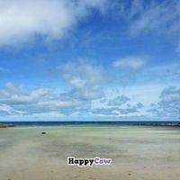 lovely beach view in the front of cafe at Orion Cafe in Koh Phangan