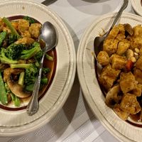 Mixed Vegetables Four Season & tofu dish  at Harmony Cafe in Washington