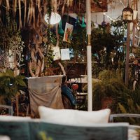   at Alesta in Kyrenia