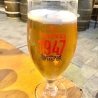 The beer  at Lou Pilha Leva in Nice