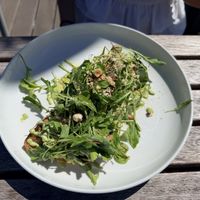 Avocado toast  at Zoku in Vienna