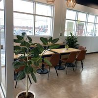 Clean space with lots of plants 🪴   at Harvest Clean Eats in Amherst