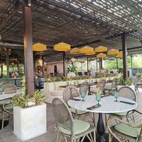  at Plant Bistro in Ubud