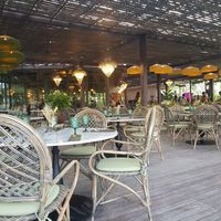 Vibes at Plant Bistro in Ubud