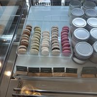   at Plant Bistro in Ubud