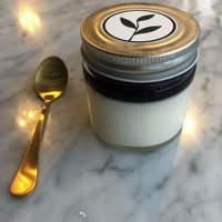   at Plant Bistro in Ubud