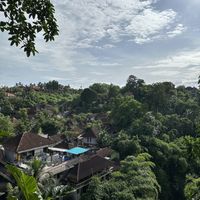   at Plant Bistro in Ubud