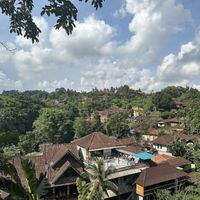   at Plant Bistro in Ubud