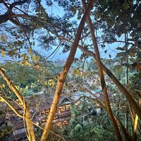   at Plant Bistro in Ubud