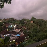   at Plant Bistro in Ubud