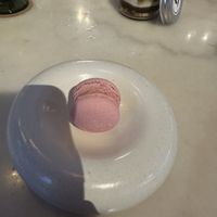 Raspberry macaron  at Plant Bistro in Ubud