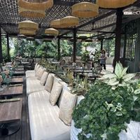 Relaxte sfeer   at Plant Bistro in Ubud