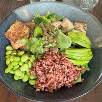  at Plant Bistro in Ubud