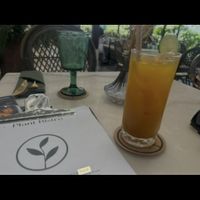   at Plant Bistro in Ubud