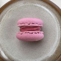   at Plant Bistro in Ubud