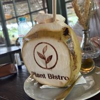 Coconut  at Plant Bistro in Ubud