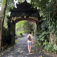   at Plant Bistro in Ubud