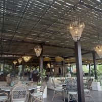   at Plant Bistro in Ubud