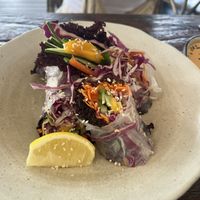 Summer rolls  at Plant Bistro in Ubud