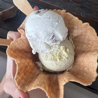   at Plant Bistro in Ubud