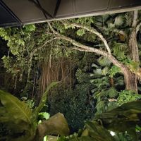 The view by night at Plant Bistro in Ubud