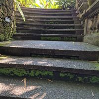 Up these stairs and to the left at Plant Bistro in Ubud